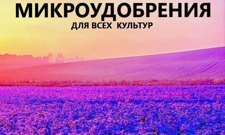 Banner from design