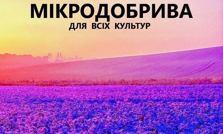 Banner from design