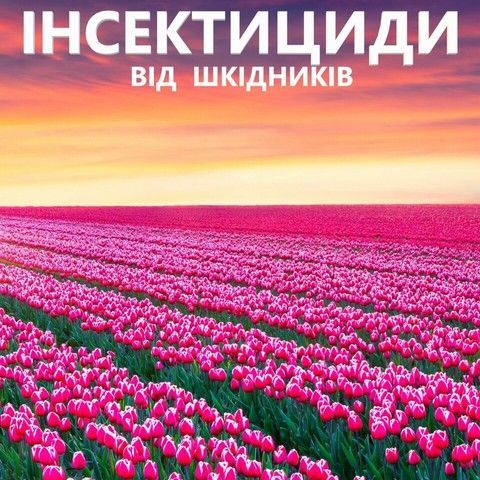 Banner from design