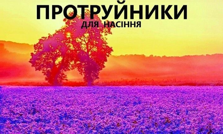 Banner from design