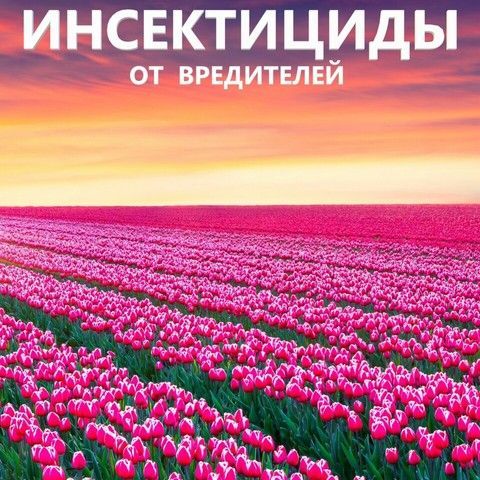 Banner from design